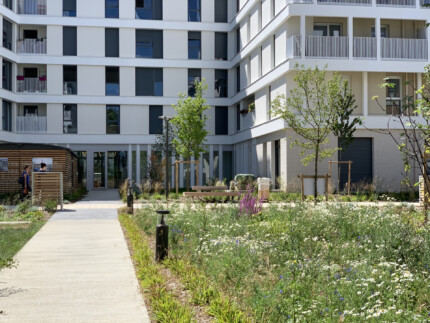 Endroits en Vert réceptionne les espaces plantés du Secteur Engelhard de la ZAC de la plaine de l’Ourcq à Noisy-le-Sec