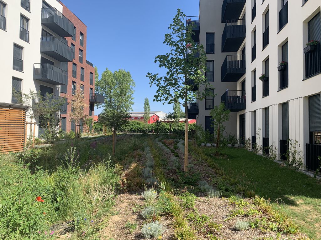 Secteur Engelhard Plaine de L'Ourcq Noisy-le-Sec 93